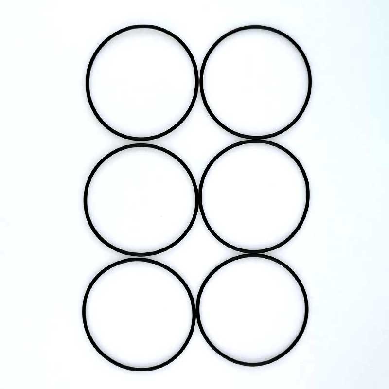 Junta tórica de tapa posterior Fusion AP