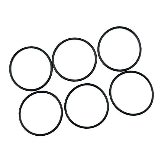 Fusion AP Piston O-Ring Large 6 Pk #AG248135